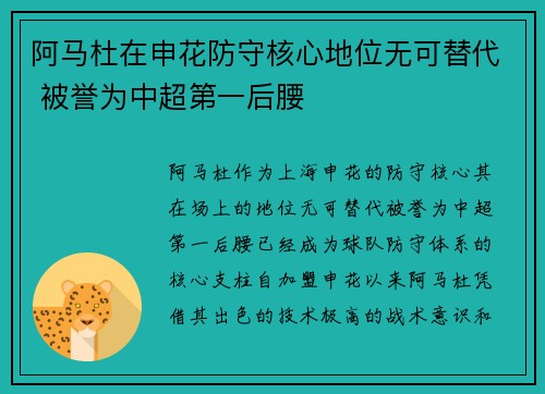 阿马杜在申花防守核心地位无可替代 被誉为中超第一后腰
